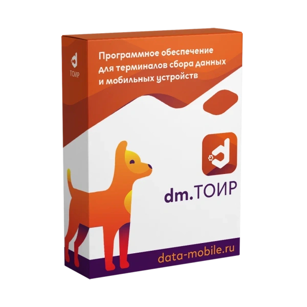 Программное обеспечение DM.Основные средства: ТОИР