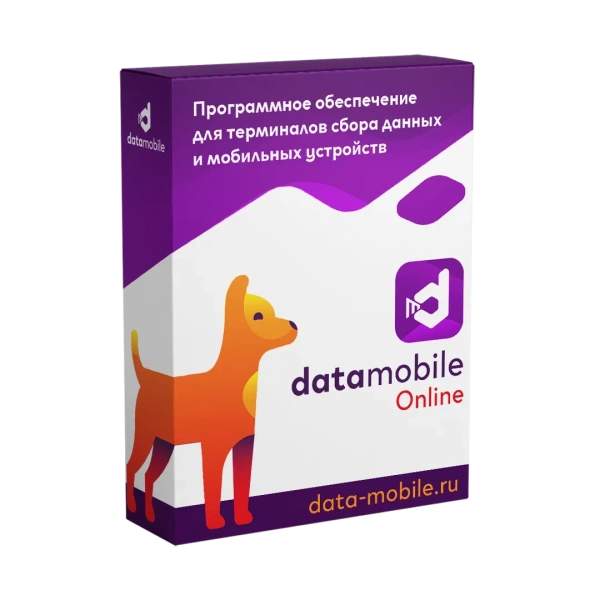 Программное обеспечение DataMobile Online