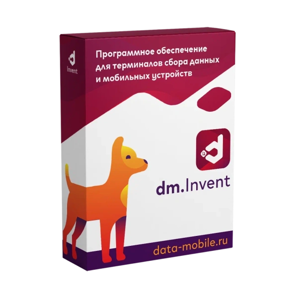 Программное обеспечение DM.Основные средства: Invent