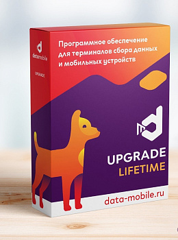 Программное обеспечение DataMobile Upgrade для версий LifeTime DMOnlineLite 2.9->3.0